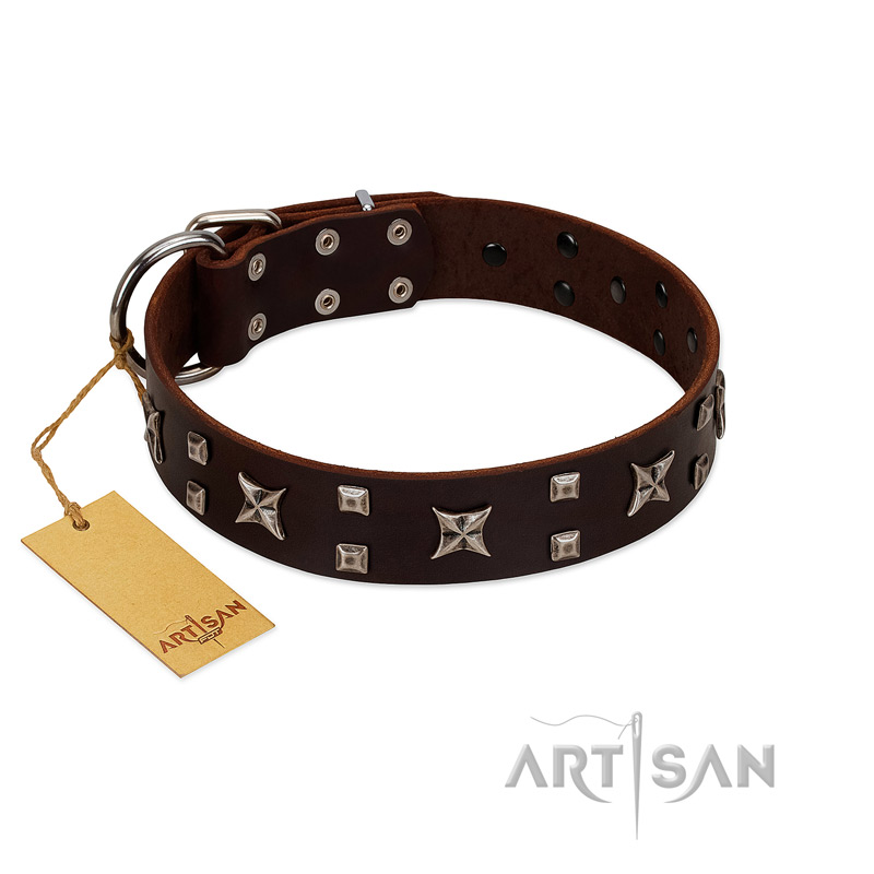 "Bigwig Woof" FDT Artisan Brown Leather Black Russian Terrier Collar with Chrome Plated Stars and Square Studs