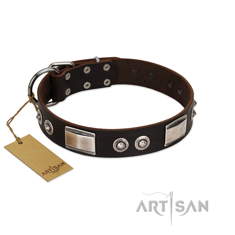 "Baller Status" FDT Artisan Brown Leather Black Russian Terrier Collar Adorned with a Set of Chrome Plated Studs and Plates