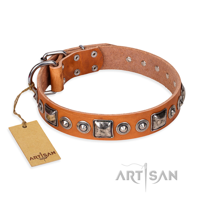 "Era of Future" FDT Artisan Handcrafted Tan Leather Black Russian Terrier Collar with Decorations