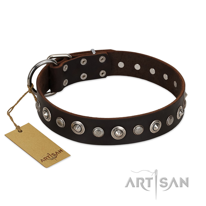 "Gorgeous Shields" FDT Artisan Brown Leather Black Russian Terrier Collar with Old Silver-like Circles and Small Camomiles