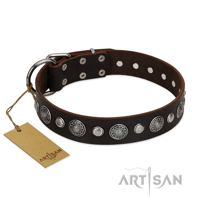 "Victory Ode" FDT Artisan Brown Leather Black Russian Terrier Collar with Silver-like Plated Decorations