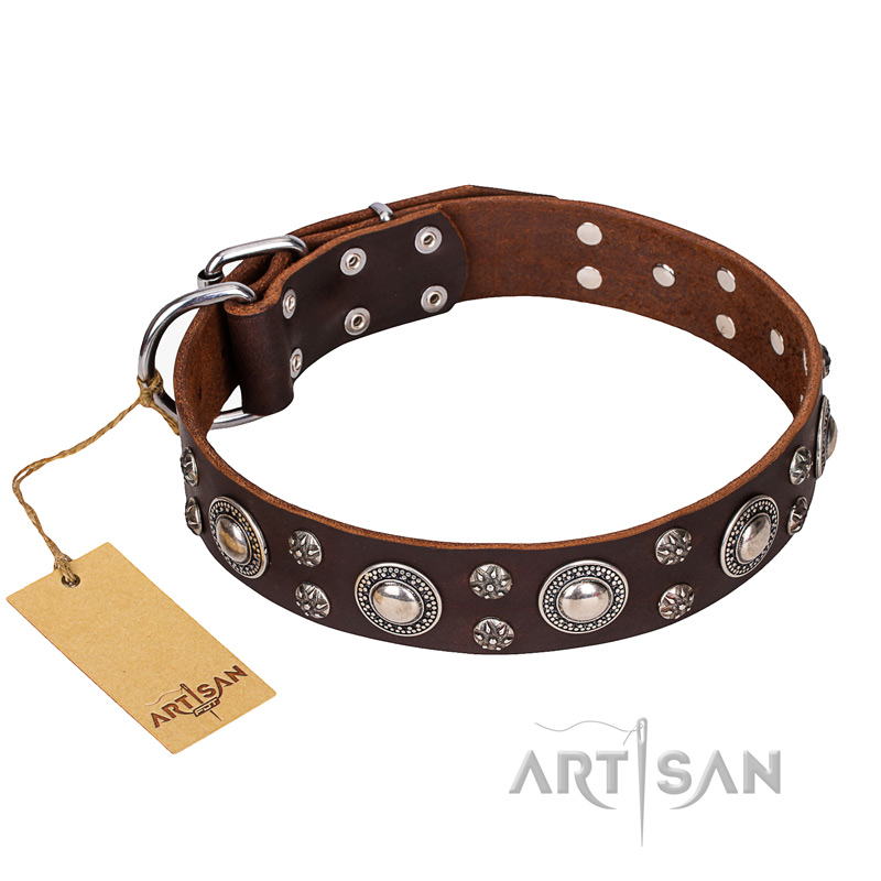 "Age of Beauty" FDT Artisan Incredible Studded Brown Leather Black Russian Terrier Collar - Click Image to Close