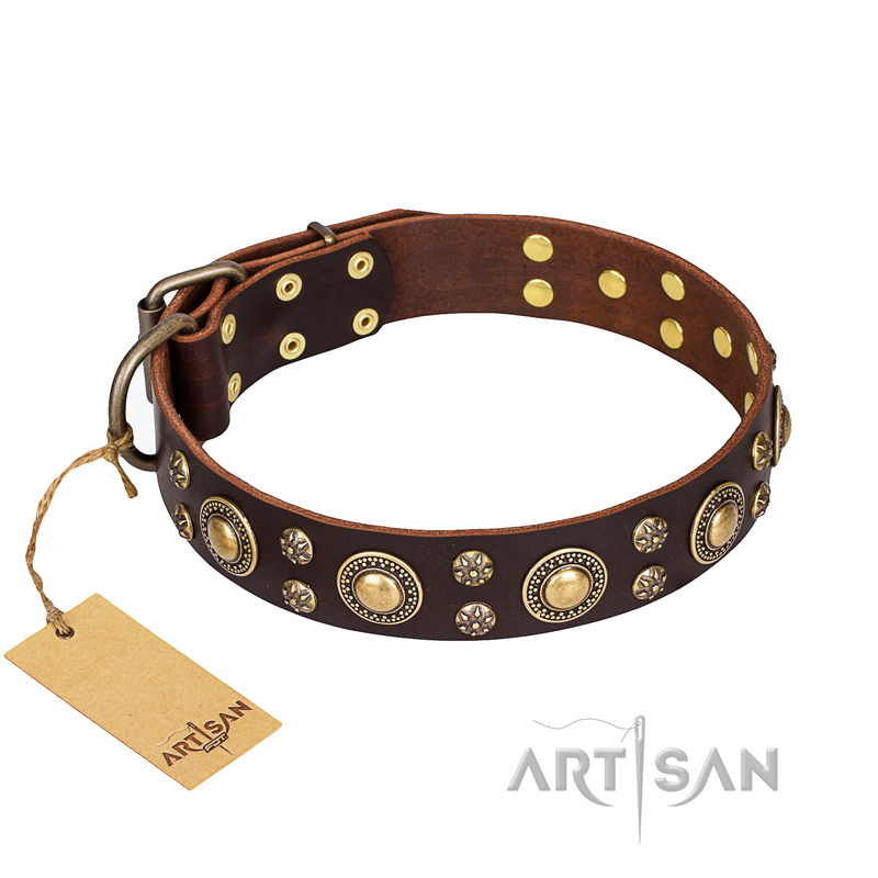 "Flower Melody" FDT Artisan Brown Leather Black Russian Terrier Collar with Mixed Studs
