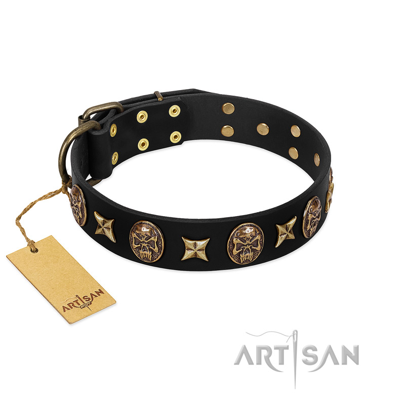 "Starry Saga" FDT Artisan Black Leather Black Russian Terrier Collar with Stars and Skulls