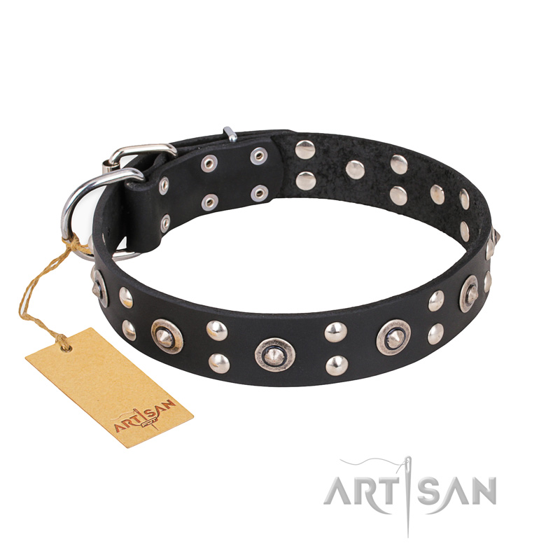 "Refined Essence" FDT Artisan Black Leather Black Russian Terrier Collar with Silvery Studs