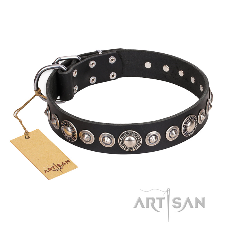 "Strict Elegance" FDT Artisan Black Leather Black Russian Terrier Collar with Decorations
