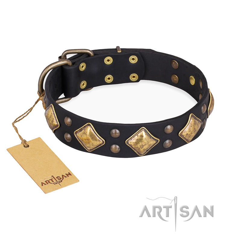 "Fancy-Schmancy" FDT Artisan Studded Leather Black Russian Terrier Collar