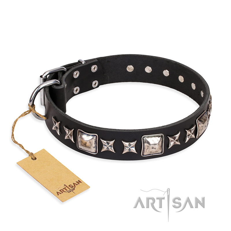 "Space Walk" FDT Artisan Black Leather Black Russian Terrier Collar with Adornments