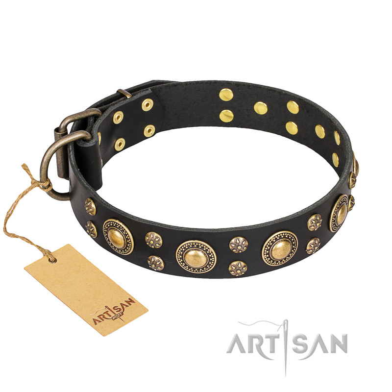 "Baroque Chic" FDT Artisan Studded Black Leather Black Russian Terrier Collar