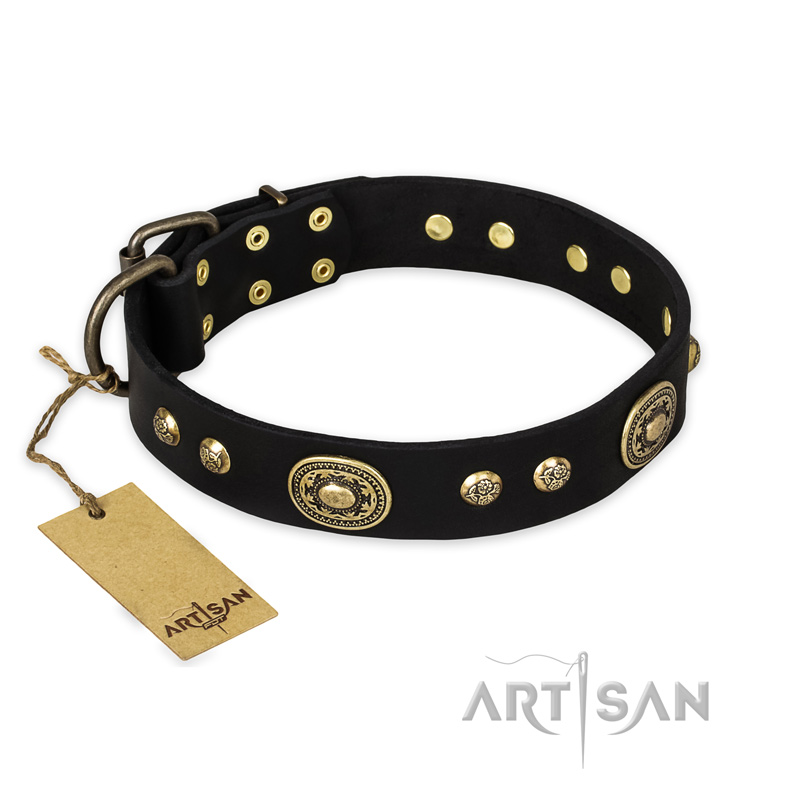 "High Fashion" FDT Artisan Studded with Plates Black Leather Black Russian Terrier Collar