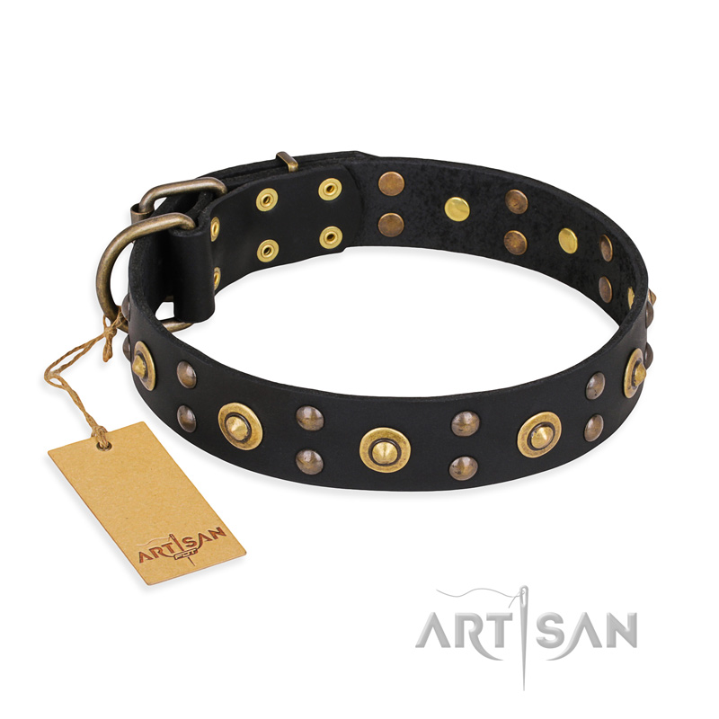 "Cosmic Glow" FDT Artisan Black Leather Black Russian Terrier Collar with Brass-Plated Studs