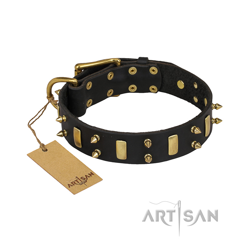 "Medieval Style" FDT Artisan Leather Black Russian Terrier Collar with Brass Plated Plates and Spikes