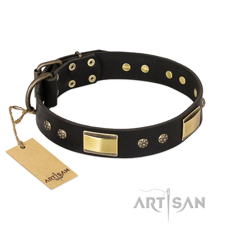 "Black Sun" FDT Artisan Leather Black Russian Terrier Collar with Brass Plated Decorations