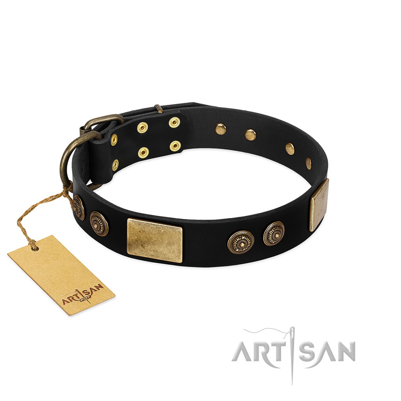 "Chicci-Glam" FDT Artisan Black Leather Black Russian Terrier Collar with Plates and Ornate Studs