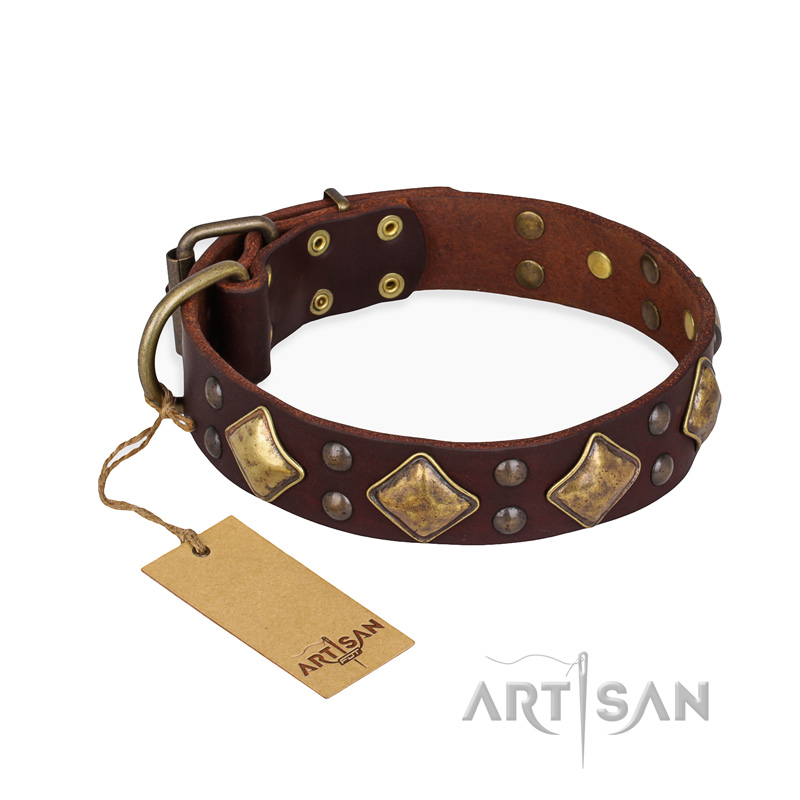 "Golden Square" FDT Artisan Brown Leather Black Russian Terrier Collar with Large Squares