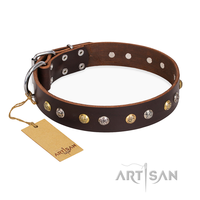 "Golden"n"Silver Luxury" FDT Artisan Leather Black Russian Terrier Collar with Engraved Studs