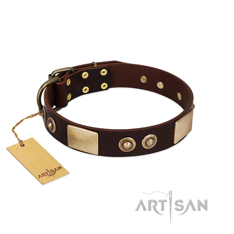 "Sense of Freedom" FDT Artisan Brown Leather Black Russian Terrier Collar with Old Bronze-Plated Studs and Plates
