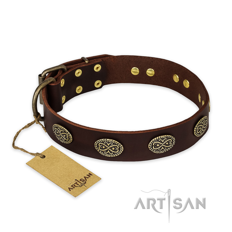 "Chocolate kiss" FDT Artisan Leather Black Russian Terrier Collar with Old Bronze Look Oval Plates - Click Image to Close