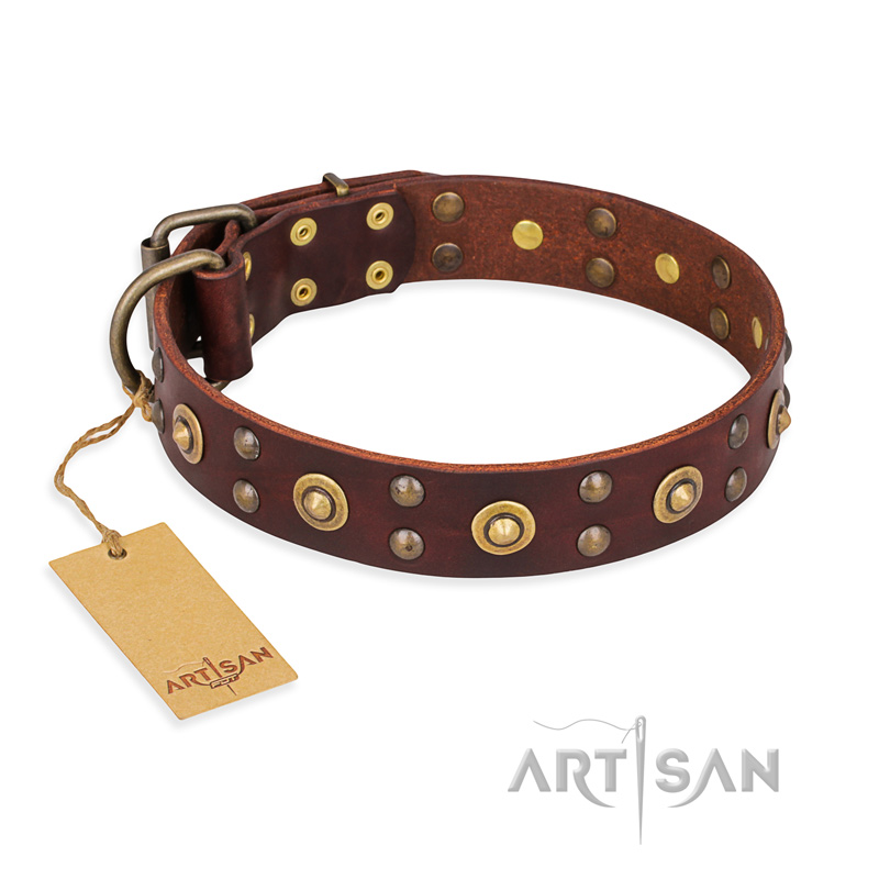 "Caprice of Fashion" FDT Artisan Brown Leather Black Russian Terrier Collar with Round Decorations