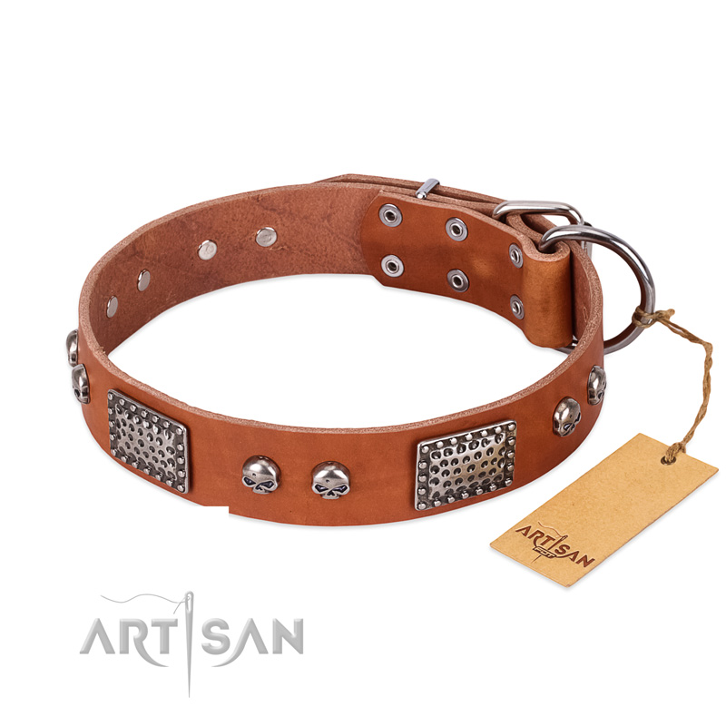 "Sparkling Skull" FDT Artisan Tan Leather Black Russian Terrier Collar with Old Silver Look Plates and Skulls