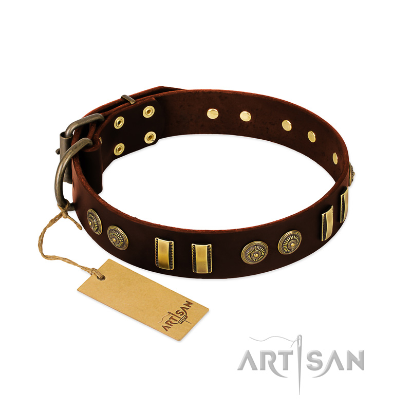 "Golden Elegance" FDT Artisan Brown Leather Black Russian Terrier Collar with Old Bronze-like Decorations