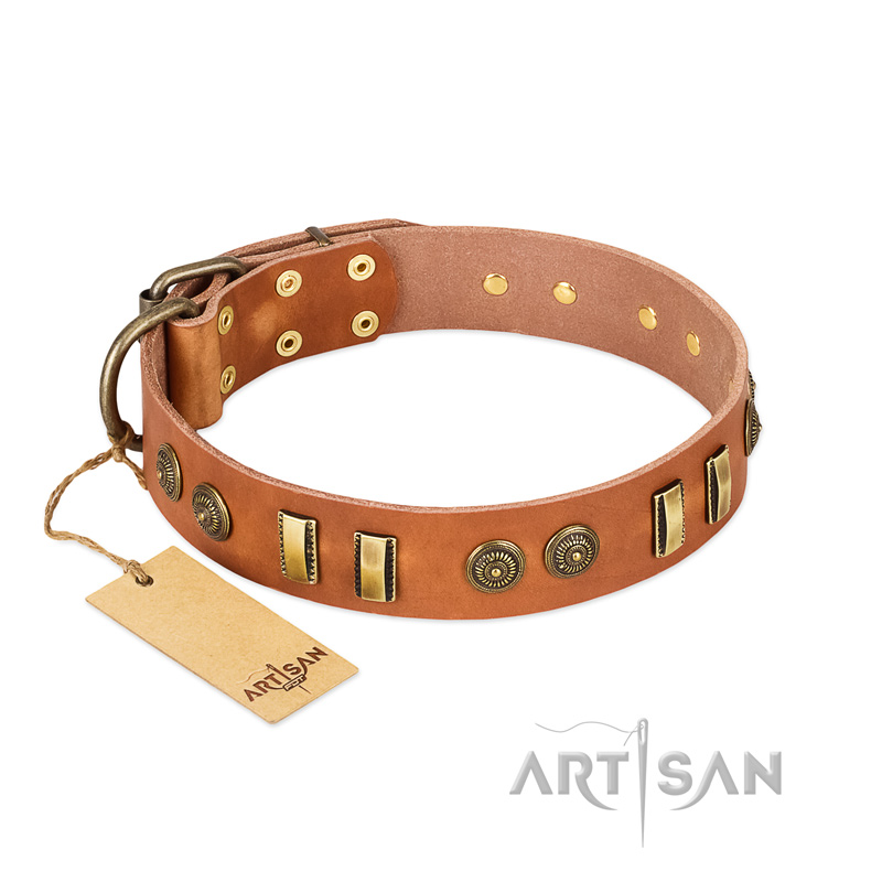 "Natural Beauty" FDT Artisan Tan Leather Black Russian Terrier Collar with Old Bronze-like Circles and Plates