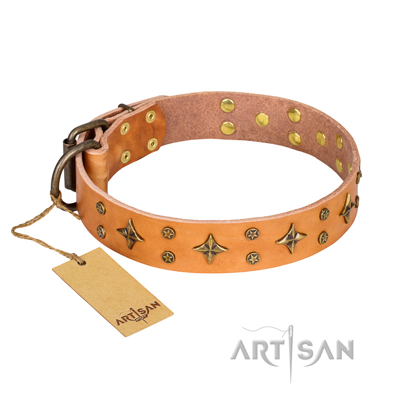"Top-Flight" FDT Artisan Adorned Tan Leather Black Russian Terrier Collar
