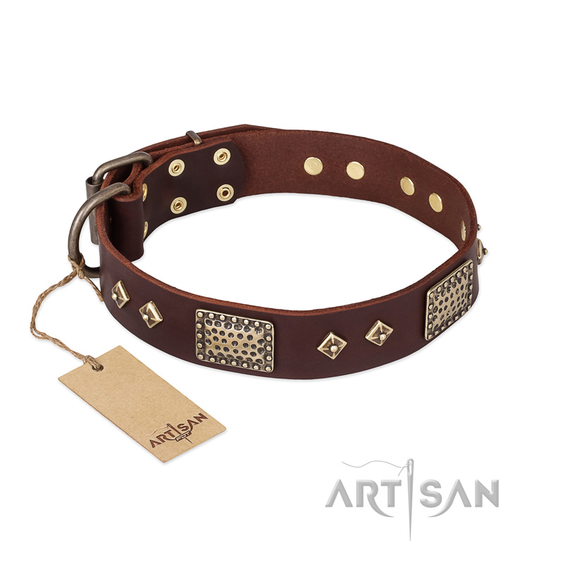 "Loving Owner" FDT Artisan Decorated Leather Black Russian Terrier Collar with Plates and Studs