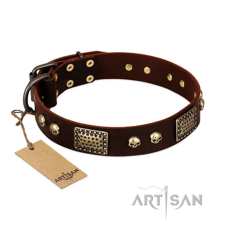 "Magic Amulet" Brown Leather Black Russian Terrier Collar with Skulls and Plates