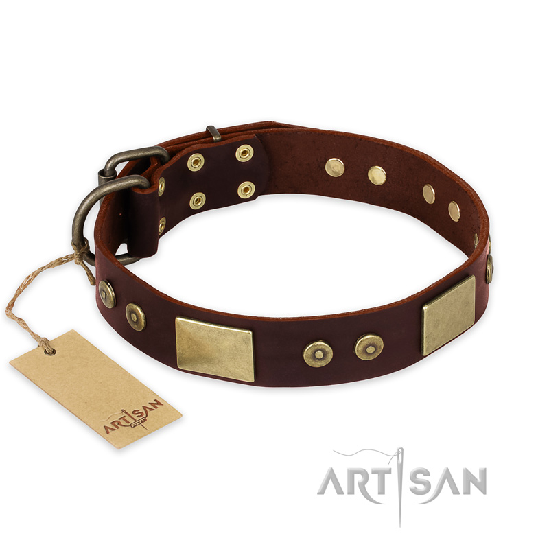 "Shining Armour" FDT Artisan Brown Leather Black Russian Terrier Collar with Decorations
