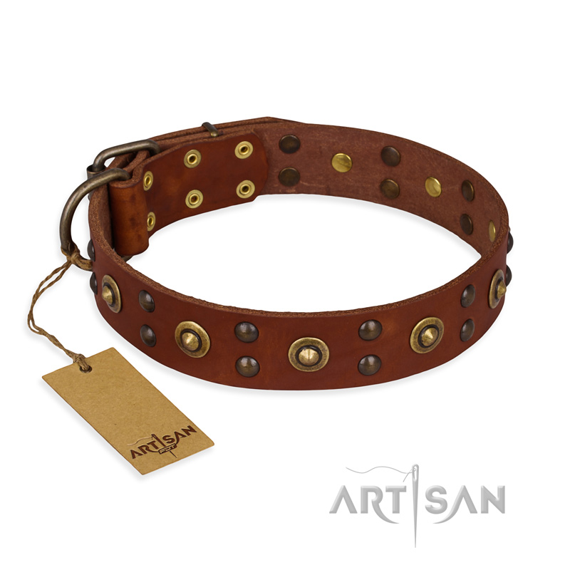 "Unfailing Charm" FDT Artisan Studded Tan Leather Black Russian Terrier Collar