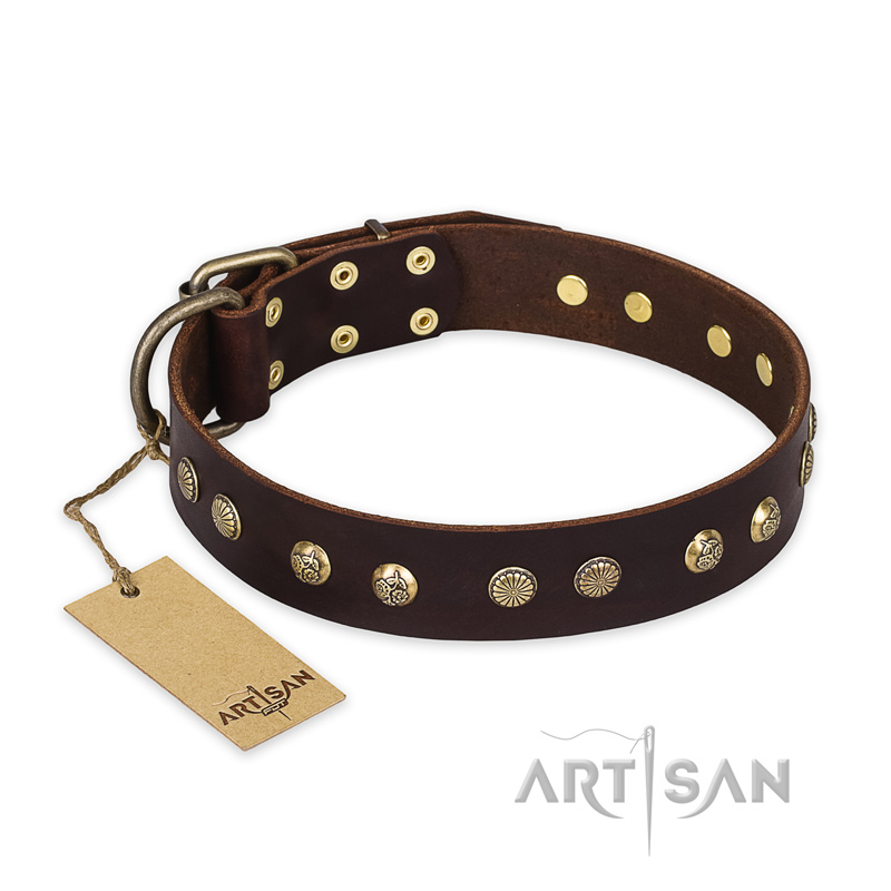 "Bronze Sheen" FDT Artisan Leather Black Russian Terrier Collar with Brass-Plated Studs