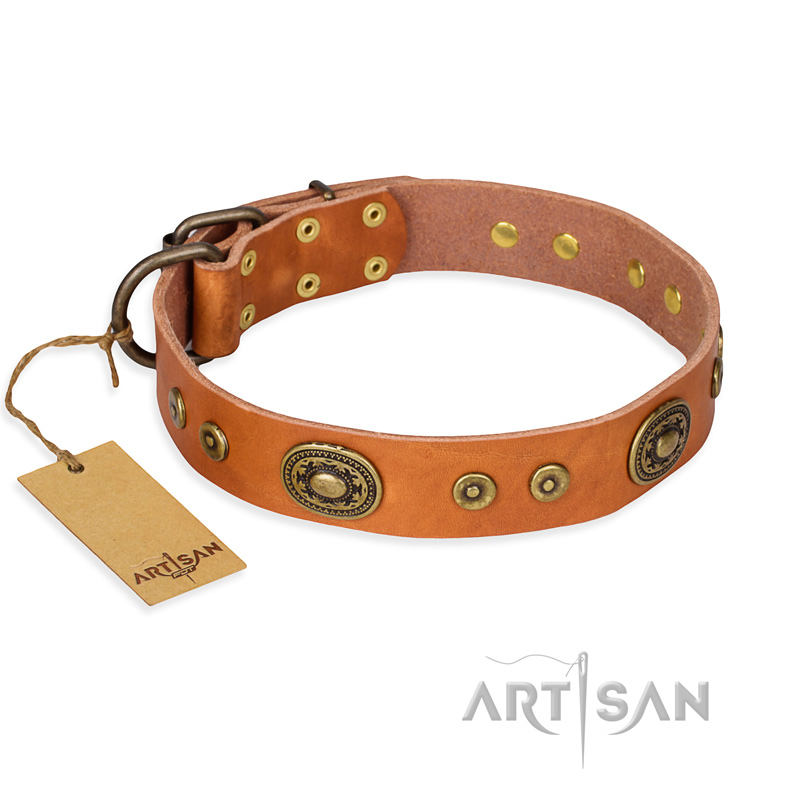 "Dandy Pet" FDT Artisan Handcrafted Tan Leather Black Russian Terrier Collar