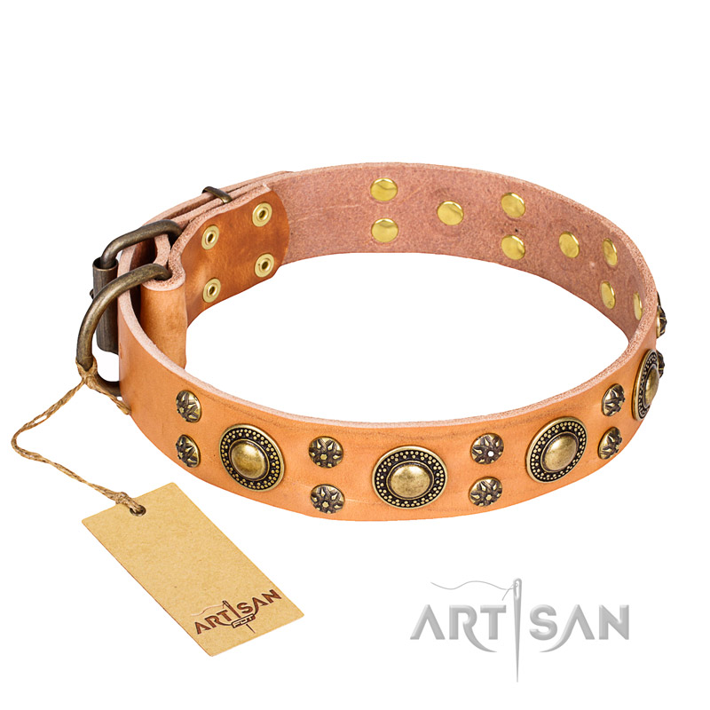 "Sophisticated Glamor" FDT Artisan Leather Black Russian Terrier Collar with Fancy Old Bronze-like Plated Decorations
