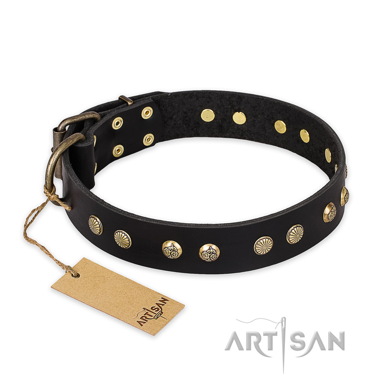 "Black Elegance" FDT Artisan Leather Black Russian Terrier Collar with Round Studs