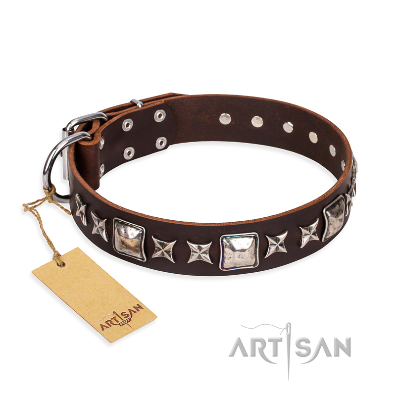 "Perfect Impression" FDT Artisan Brown Leather Black Russian Terrier Collar with Silvery Square Studs