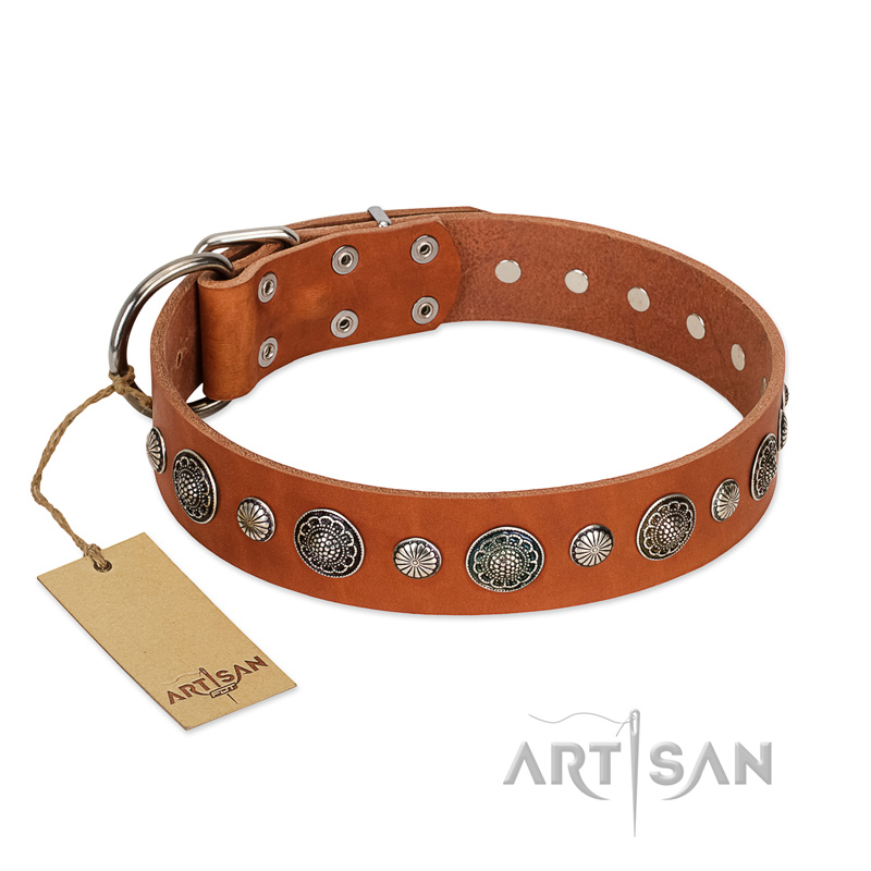 "Natural Beauty" FDT Artisan Tan Leather Black Russian Terrier Collar with Shining Silver-like Studs