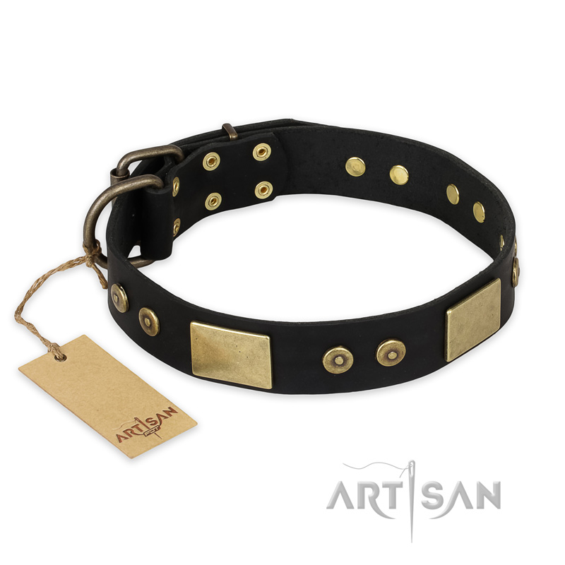 "Spanish night" FDT Artisan Fashionable Leather Walking Black Russian Terrier Collar