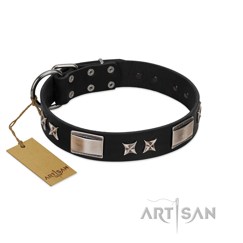 "Pitch Dark" FDT Artisan Black Leather Black Russian Terrier Collar with Stars and Plates