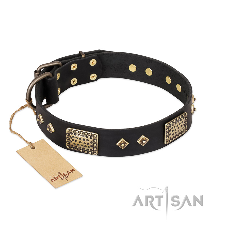 "Jewel Passion" FDT Artisan Fashionable Black Leather Black Russian Terrier Collar