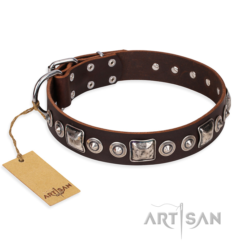 "Pierian spring" FDT Artisan Brown Leather Black Russian Terrier Collar with Silvery Decorations