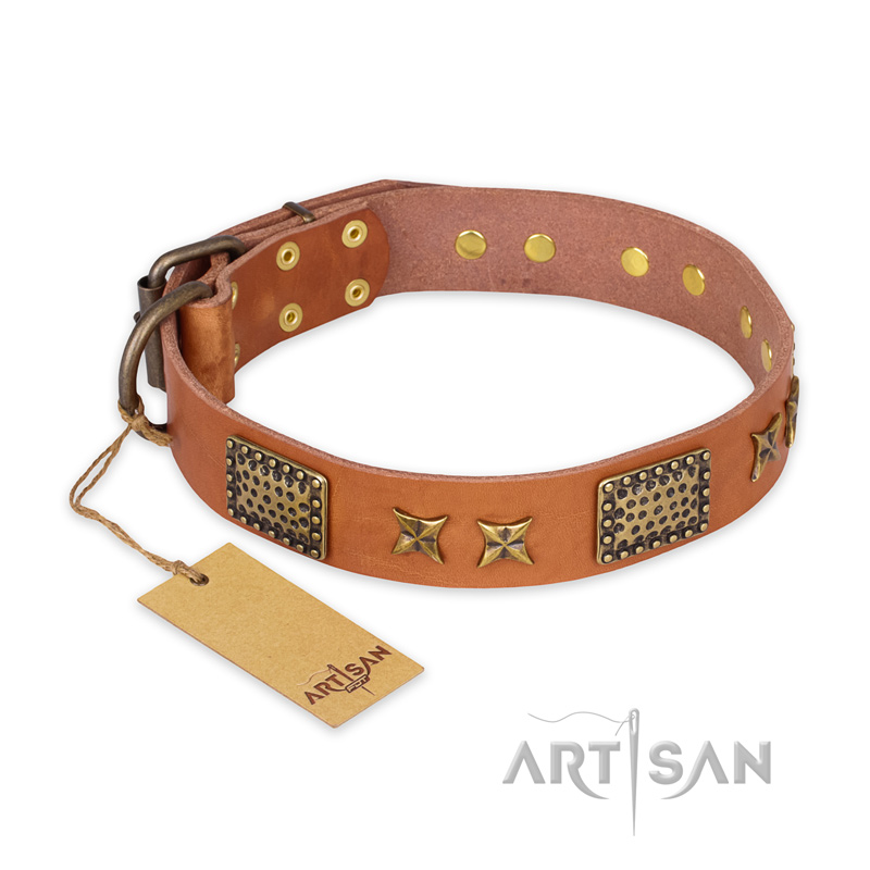 "Cosmic Traveller" FDT Artisan Adorned Leather Black Russian Terrier Collar with Old Bronze-Plated Stars and Plates
