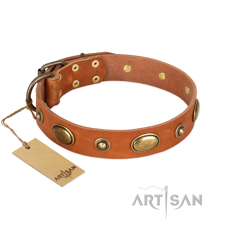 "Visual Magic" FDT Artisan Tan Leather Black Russian Terrier Collar for Daily Activities