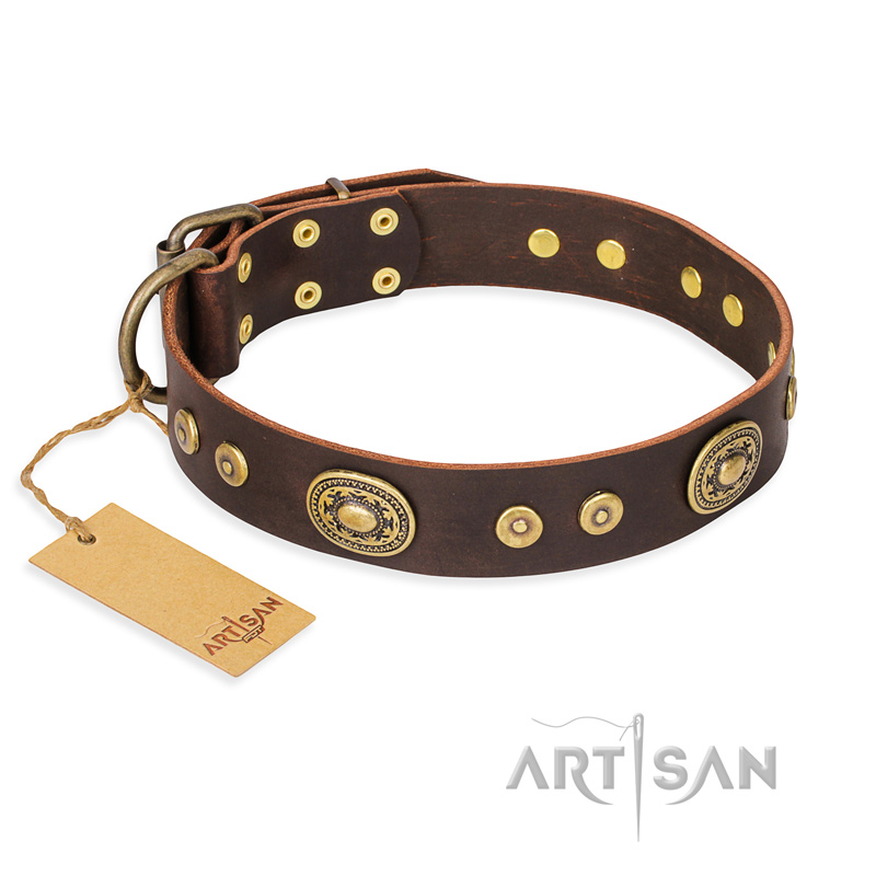 "One-of-a-Kind" FDT Artisan Handmade Decorated Brown Leather Black Russian Terrier Collar