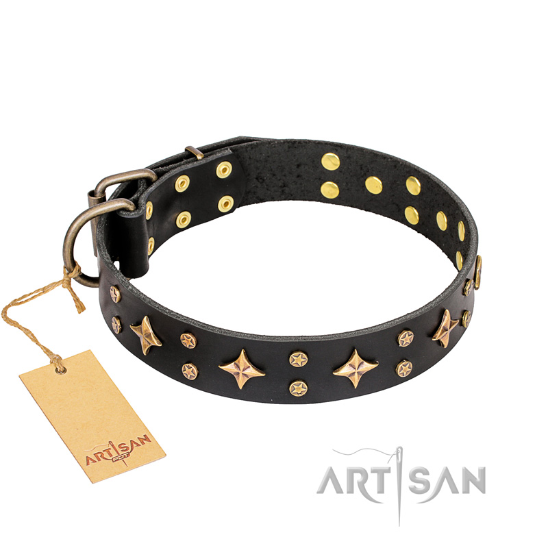 "A La Mode" FDT Artisan Handcrafted Black Leather Black Russian Terrier Collar