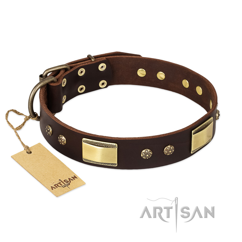 "Rich Fashion" FDT Artisan Decorated Leather Black Russian Terrier Collar with Plates and Studs