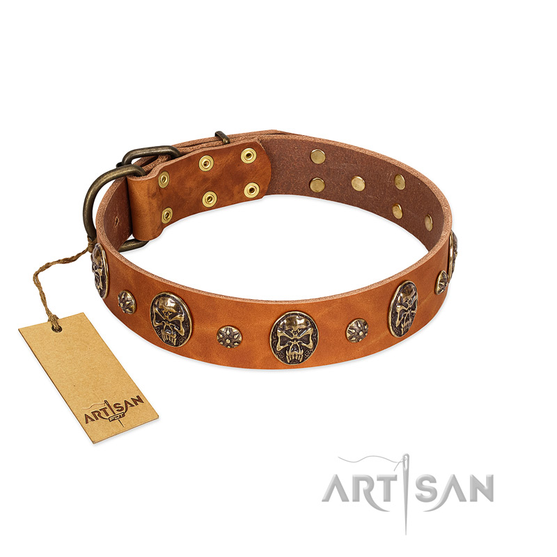 "Rockstar" FDT Artisan Tan Leather Black Russian Terrier Collar with Engraved Studs and Medallions