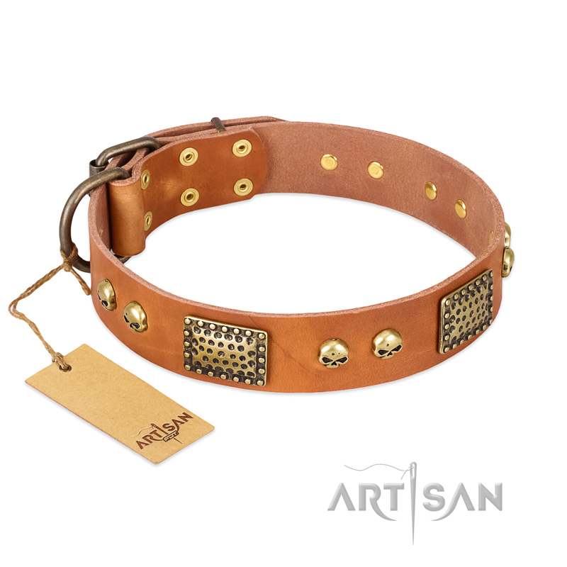 "Saucy Nature" FDT Artisan Tan Leather Black Russian Terrier Collar with Old Bronze Look Plates and Skulls