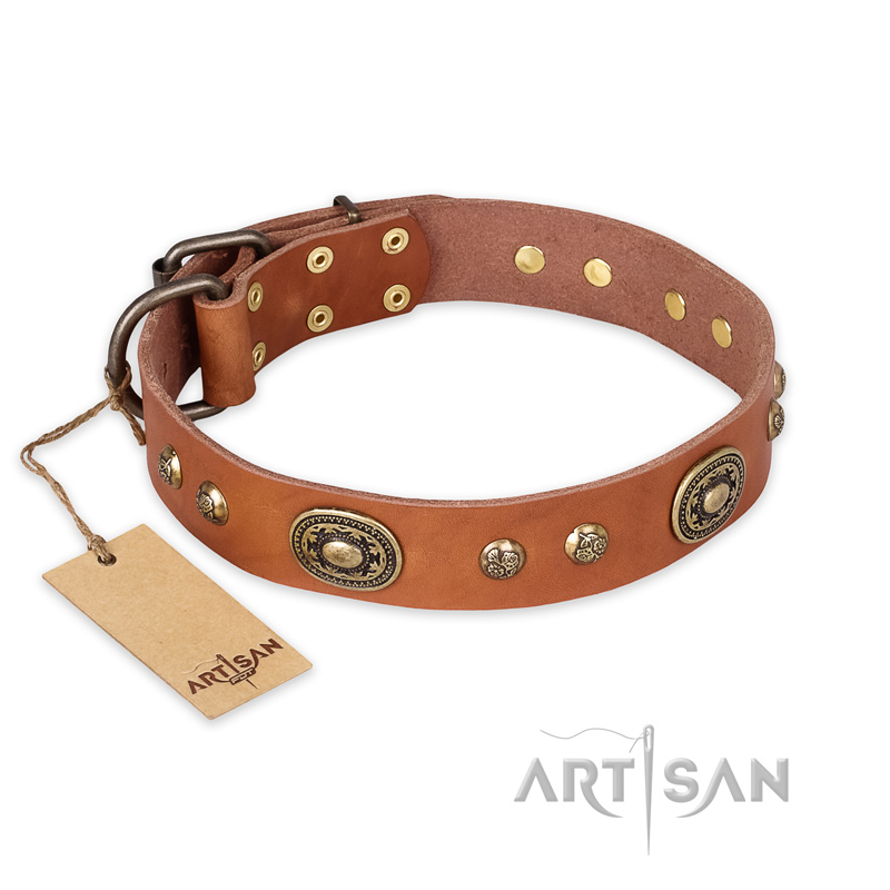 "Stunning Dress" FDT Artisan Tan Leather Black Russian Terrier Collar with Old Bronze Look Plates and Studs