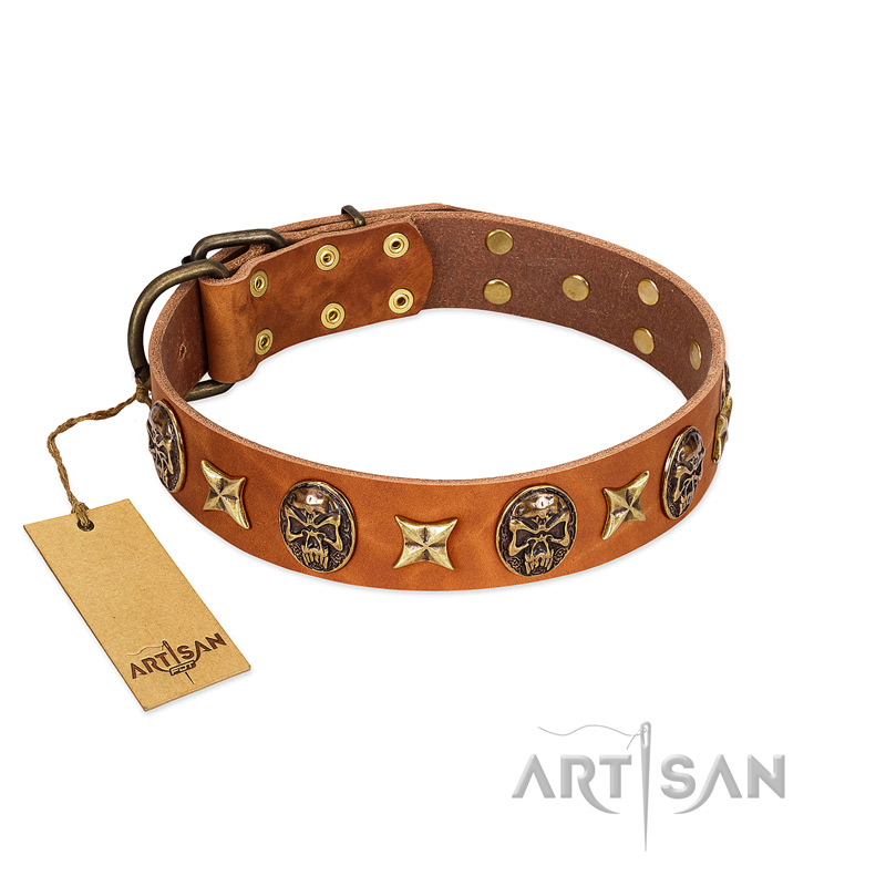 "Rockin' Doggie" FDT Artisan Tan Leather Black Russian Terrier Collar Adorned with Stars and Skulls